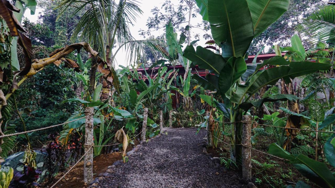 Daydream Lodge Tampaksiring Exterior photo