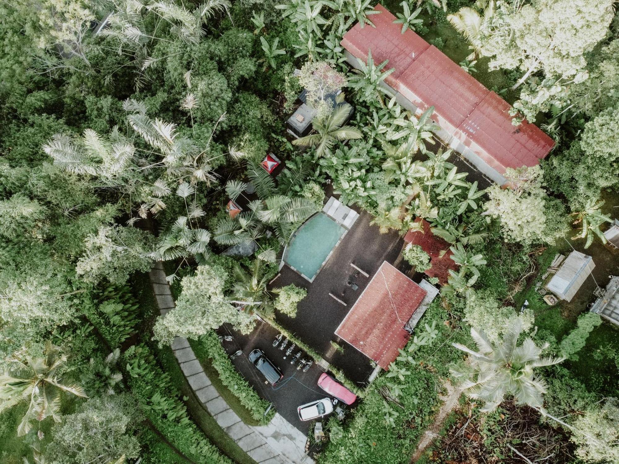 Daydream Lodge Tampaksiring Exterior photo
